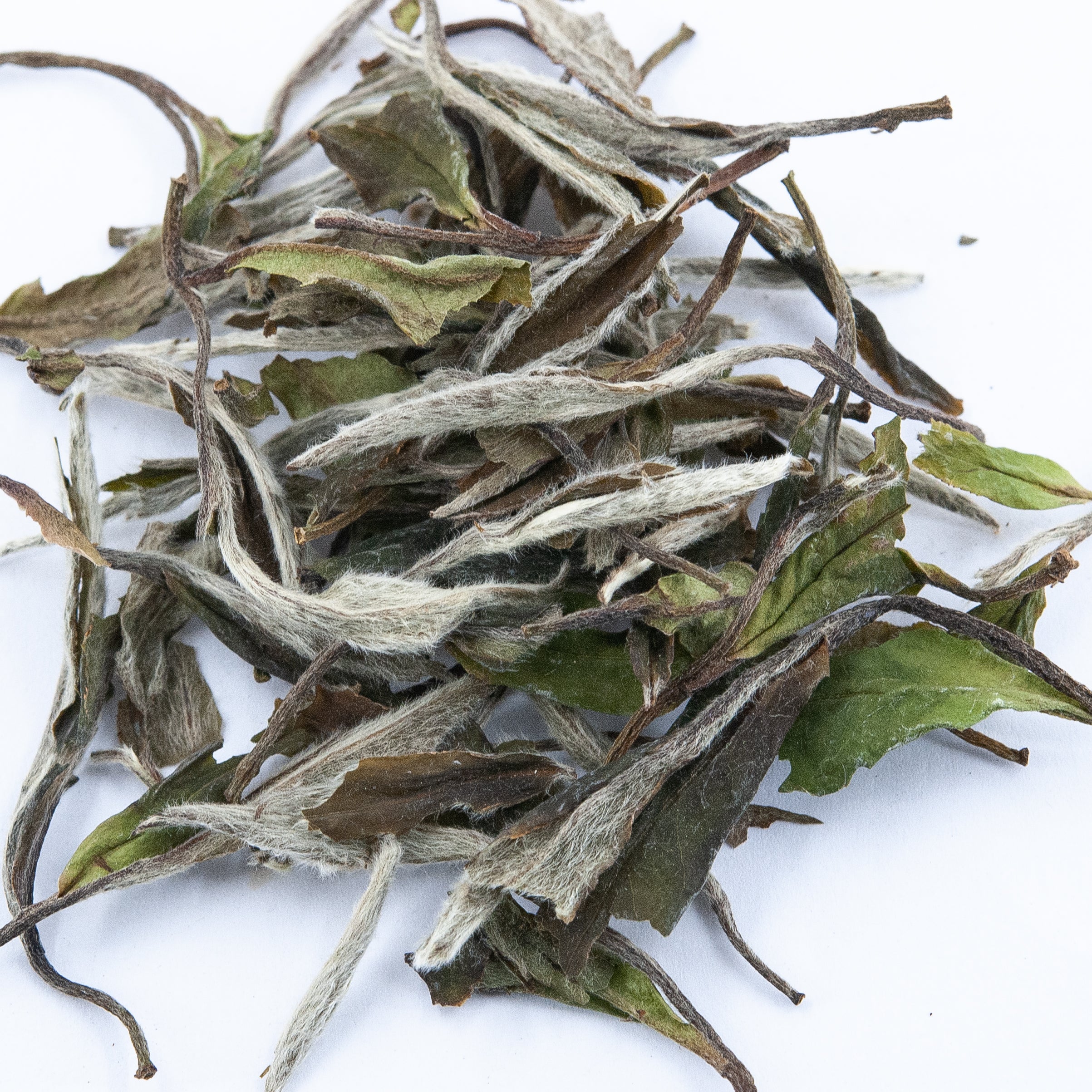 Wild White Peony White Tea (Bai Mu Dan)€14.95White TeamySiteTEAWAVYTEAWAVY