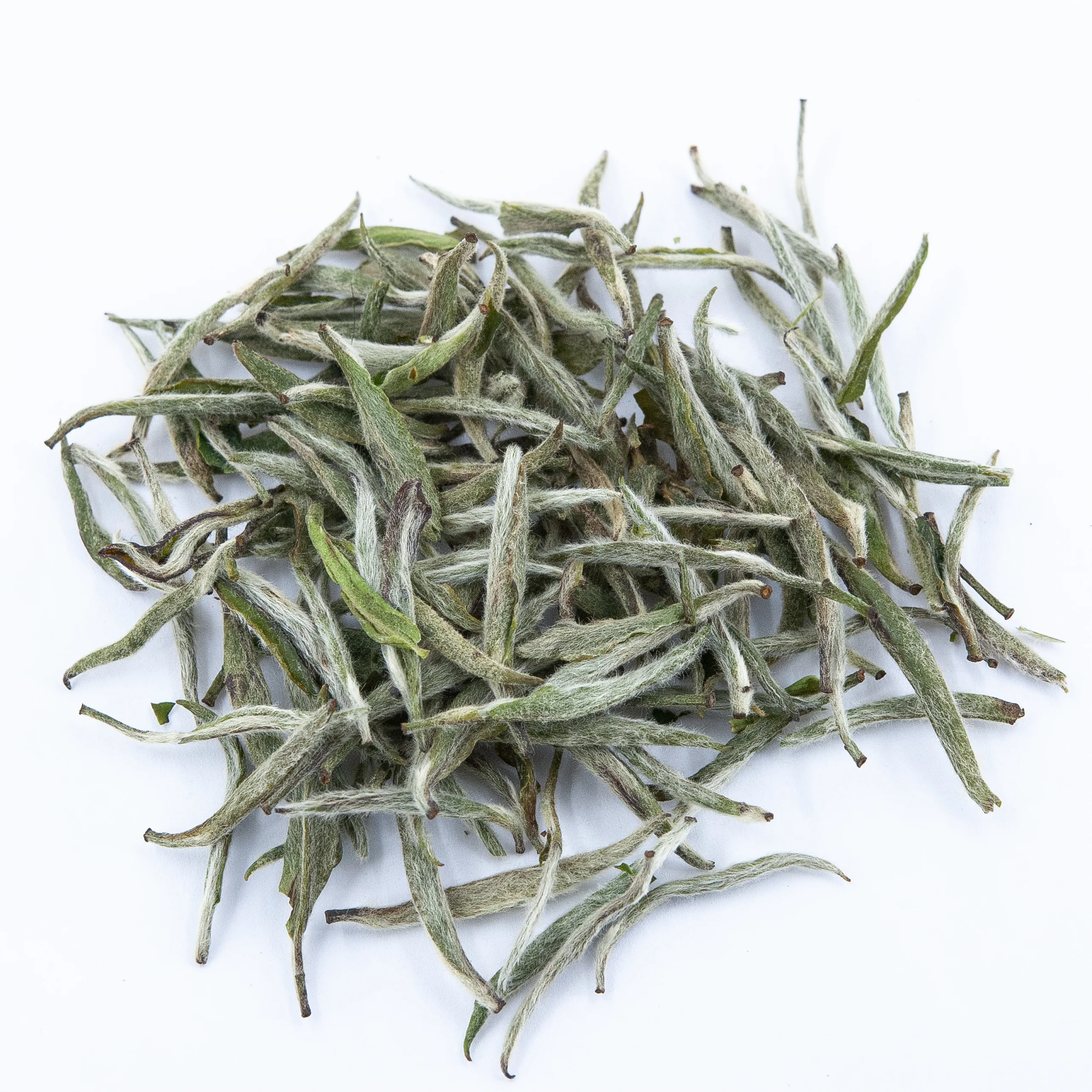 Silver Needle White Tea (Bai Hao Yin Zhen)€20.95White TeamySiteTEAWAVYTEAWAVY