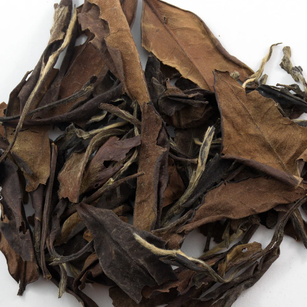 1990's Vintage Shou Mei Loose Leaf White Tea€44.95White TeamySiteTEAWAVYTEAWAVY